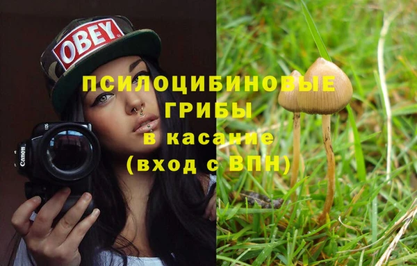 дмт Алексин