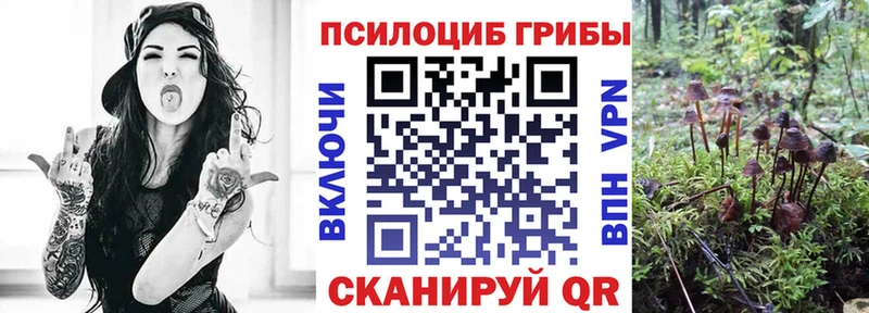 Галлюциногенные грибы мицелий  где купить наркотик  Микунь 